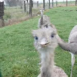 Vakantiehuis La Ligule - And Children's Farm