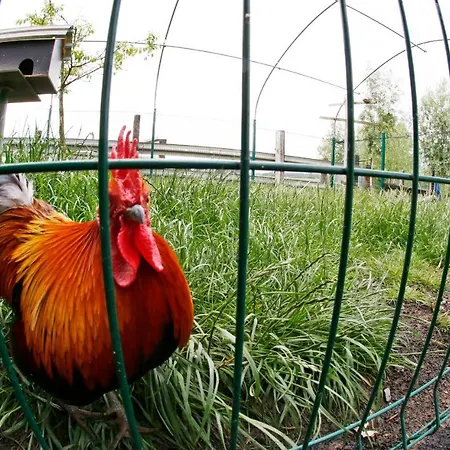 La Ligule - And Children's Farm