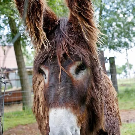 Сasa de vacaciones La Ligule - And Children's Farm Mignault