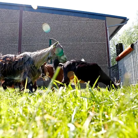 Сasa de vacaciones La Ligule - And Children's Farm *