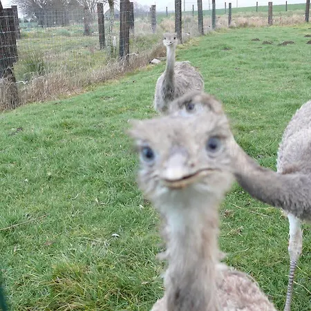 度假居 La Ligule - And Children's Farm