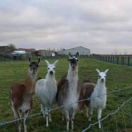 La Ligule - And Children's Farm Сasa de vacaciones Mignault
