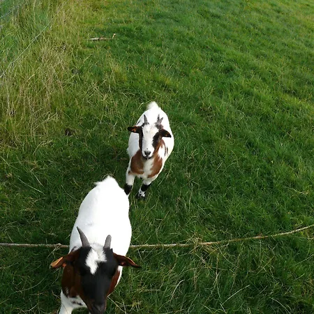 La Ligule - And Children's Farm Mignault