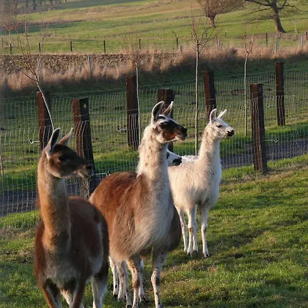 La Ligule - And Children's Farm