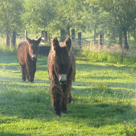 La Ligule - And Children's Farm * Mignault
