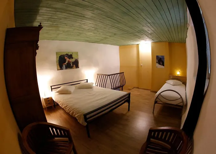 La Ligule - And Children's Farm *